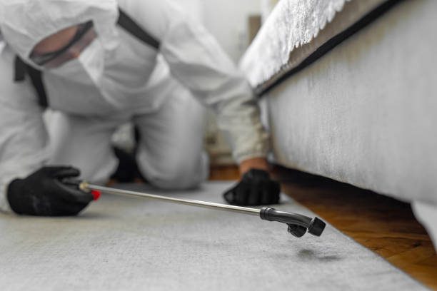 Professional Termite Control technician working in Lafayette, OR