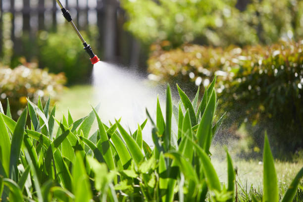 24/7 Emergency Termite Control experts in Lafayette, OR